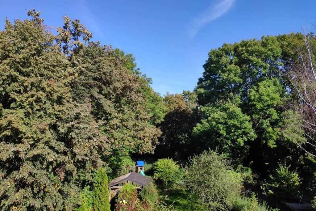 Ferienwohnung mit 123qm für 8 Personen mit sehr großem Garten, einfache Innen-Ausstattung Leipzig Exterior foto