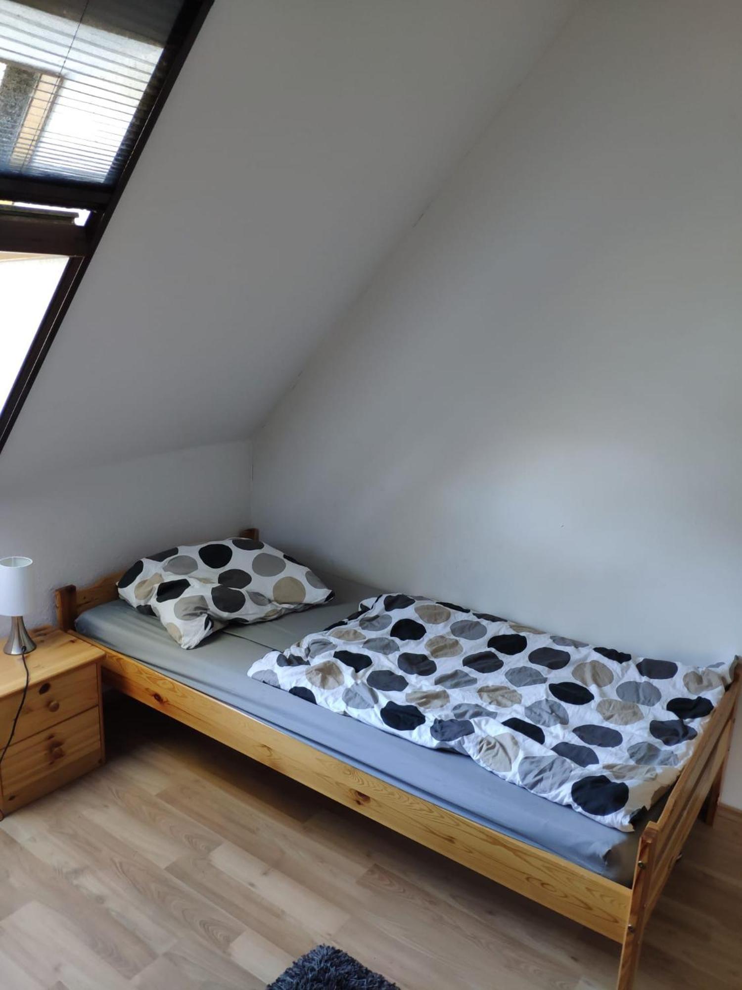Ferienwohnung mit 123qm für 8 Personen mit sehr großem Garten, einfache Innen-Ausstattung Leipzig Exterior foto